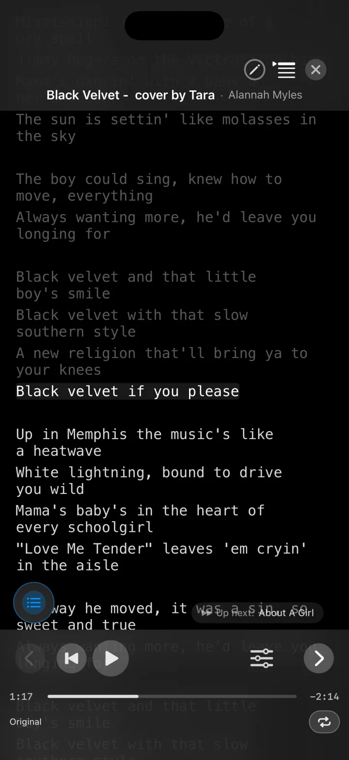 Performance mode: lyrics of Black Velvet with the current line highlighted while the song plays